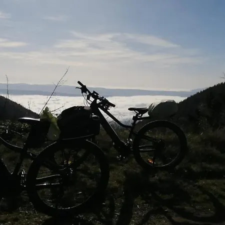 Apartment Prazdninovy Lydia *